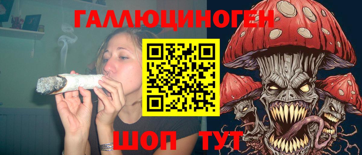 Зеленогорск  Псилоцибиновые грибы Psilocybine cubensis  Галлюциногенные грибы Psilocybe  как найти закладки  Вход с VPN 